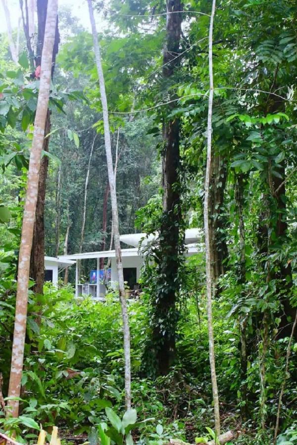 Casa Eden - Modern Peaceful Jungle Apartments Cocles Εξωτερικό φωτογραφία