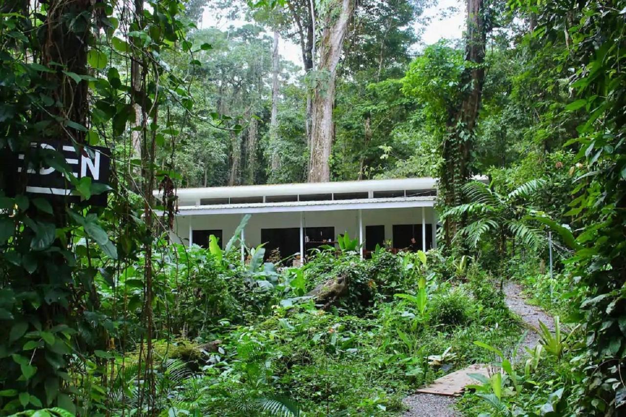 Casa Eden - Modern Peaceful Jungle Apartments Cocles Εξωτερικό φωτογραφία