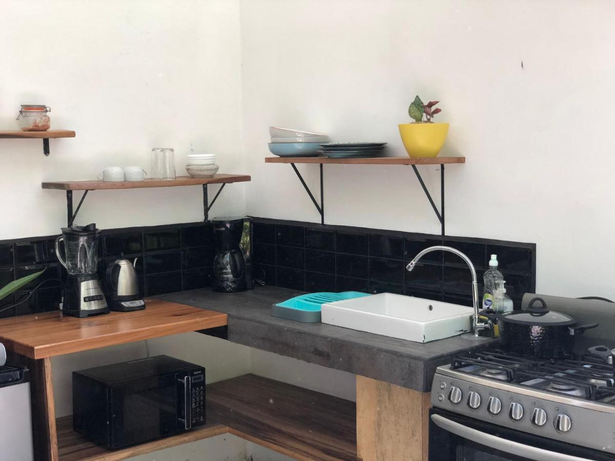 Casa Eden - Modern Peaceful Jungle Apartments Cocles Εξωτερικό φωτογραφία