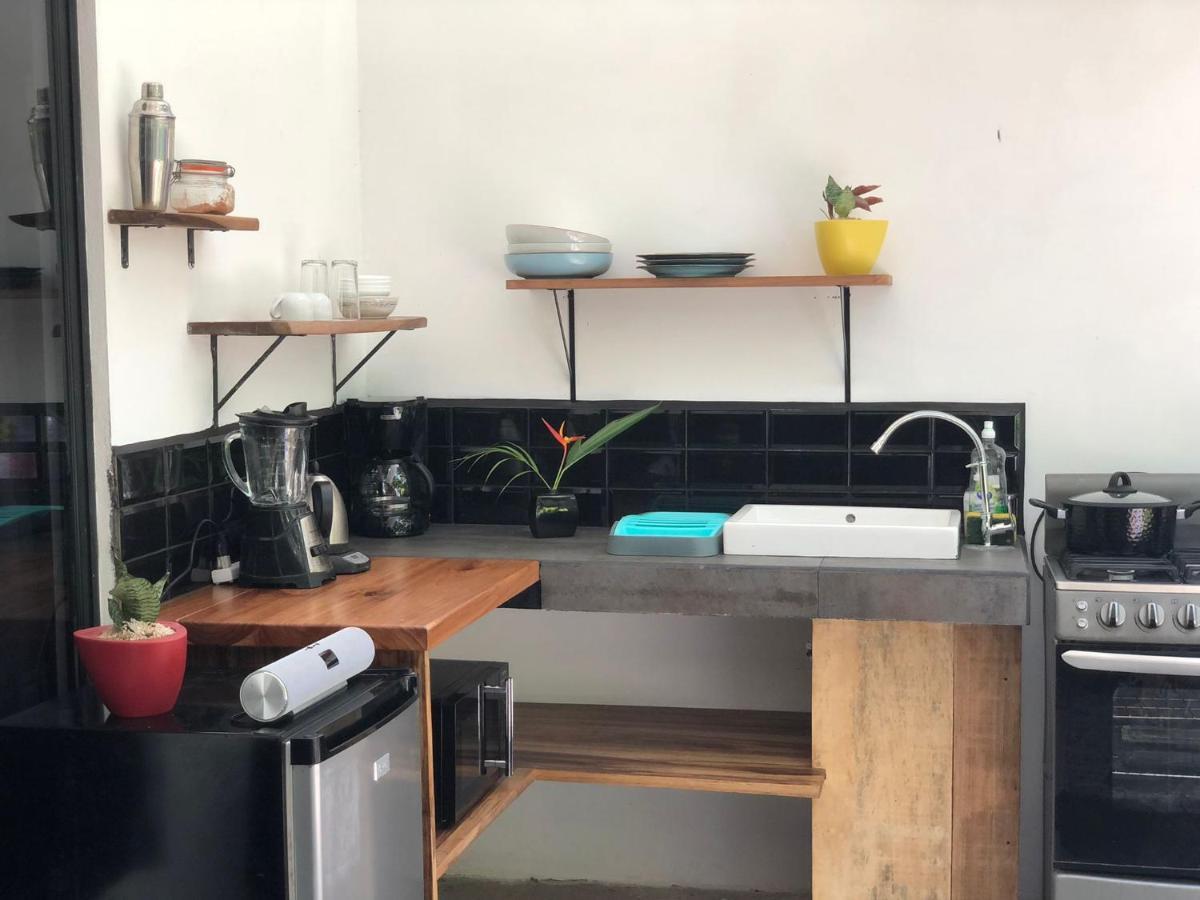Casa Eden - Modern Peaceful Jungle Apartments Cocles Εξωτερικό φωτογραφία