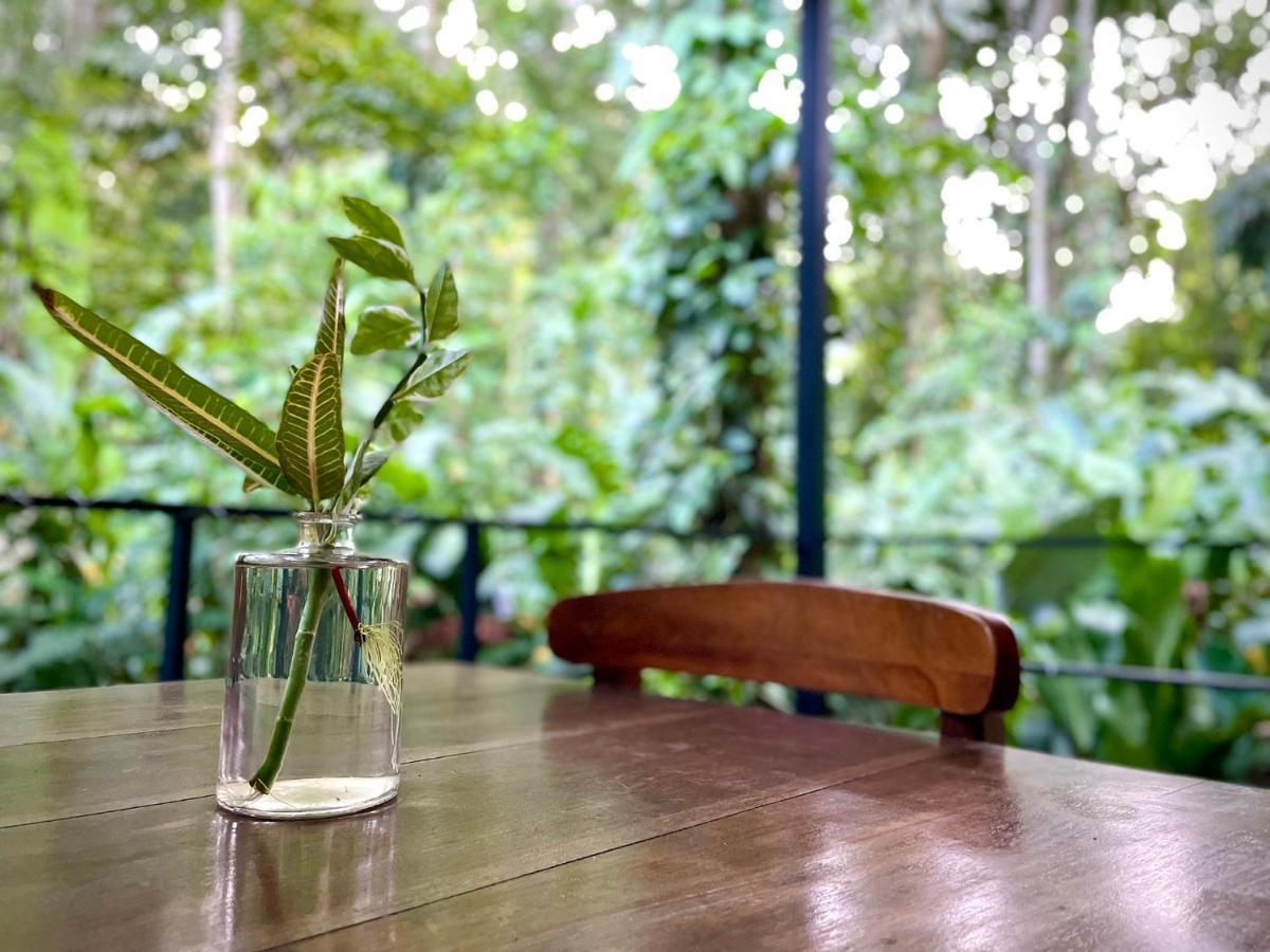 Casa Eden - Modern Peaceful Jungle Apartments Cocles Εξωτερικό φωτογραφία