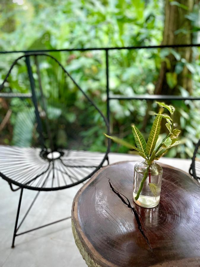 Casa Eden - Modern Peaceful Jungle Apartments Cocles Εξωτερικό φωτογραφία