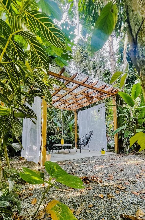 Casa Eden - Modern Peaceful Jungle Apartments Cocles Εξωτερικό φωτογραφία