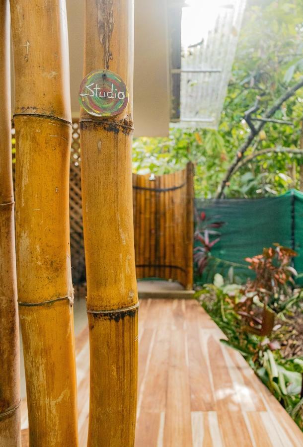 Casa Eden - Modern Peaceful Jungle Apartments Cocles Εξωτερικό φωτογραφία